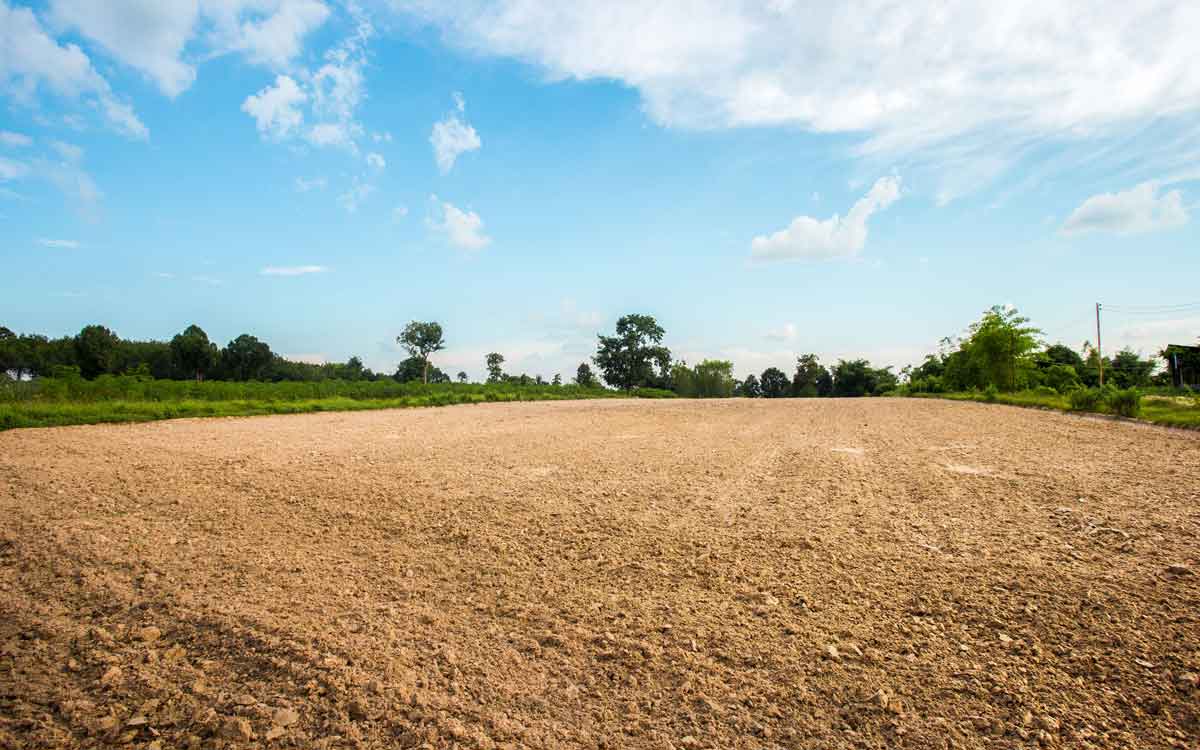 Terreno abierto listo para desarrollar